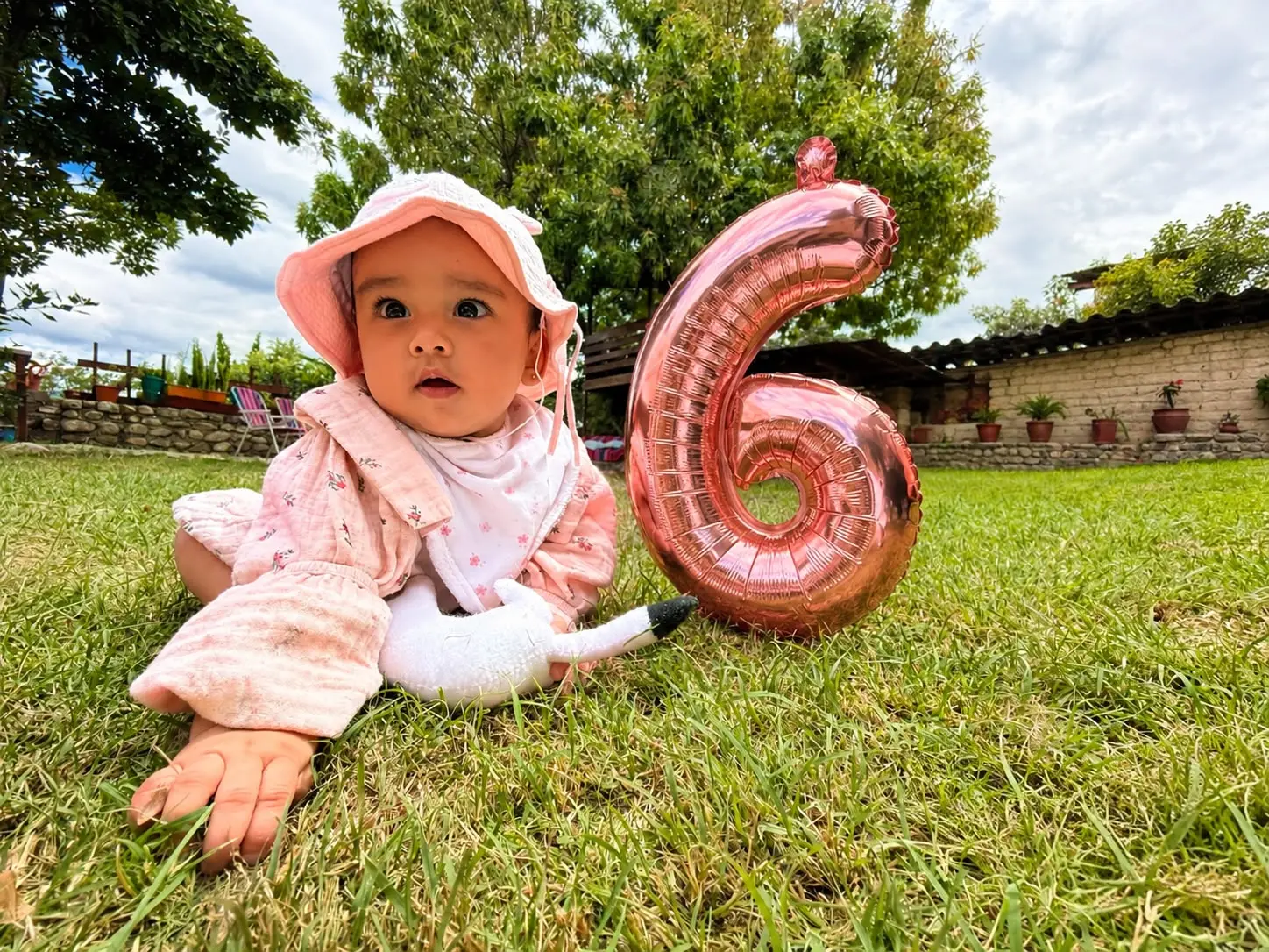 Miranda, 6 meses